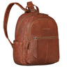 "Lisa" City Rucksack Damen Leder Mittelgroß gepolstertes Fach 13 Zoll